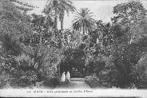 ALGER LE JARDIN D ESSAI